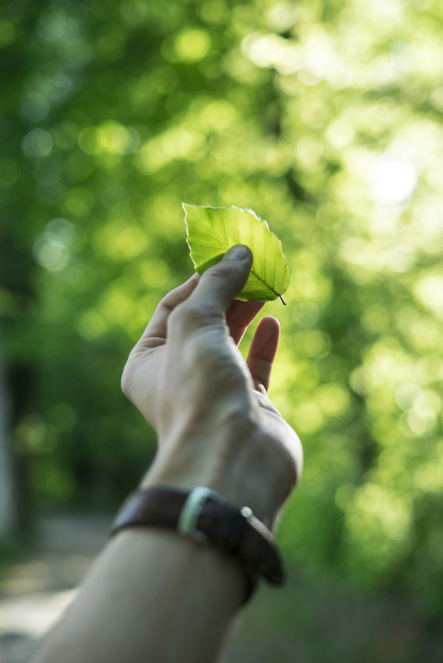 The Role of the ESAM® Framework in Sustainable Leadership