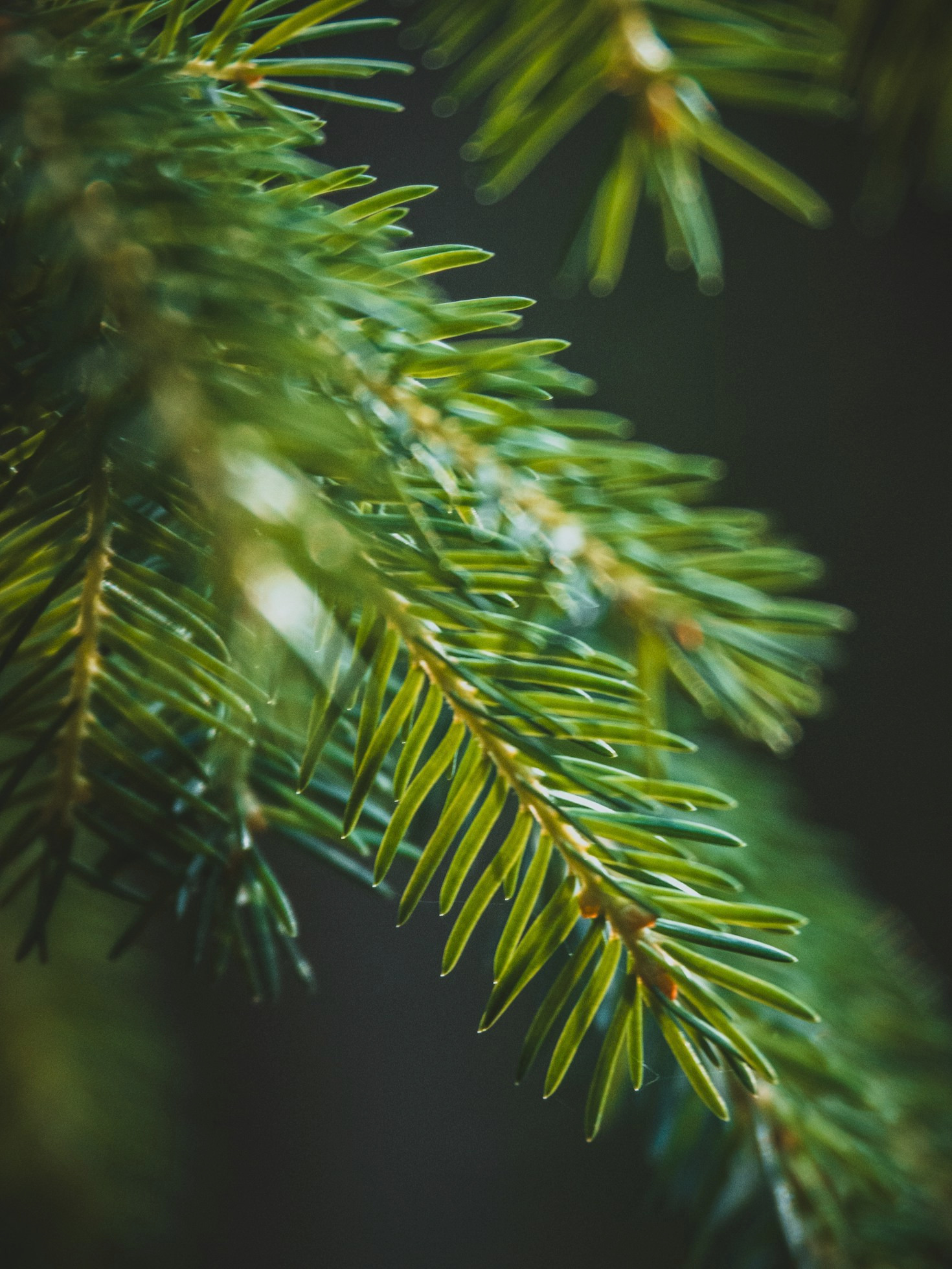 Why C-Suite Executives Should Embrace ESG Standards