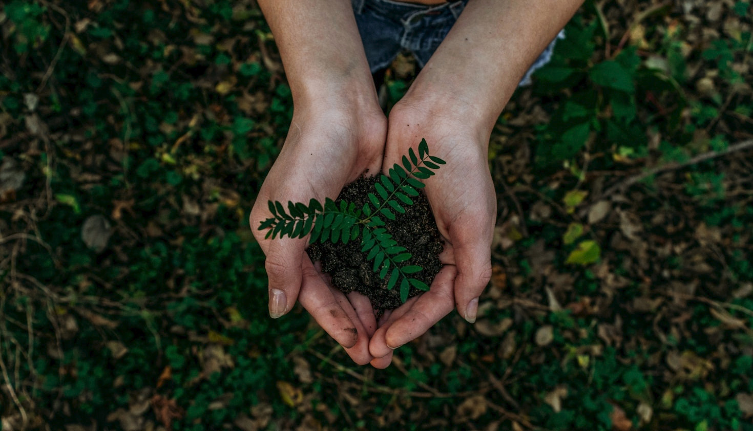Strategic Alignment Through Environmental, Social, and Governance