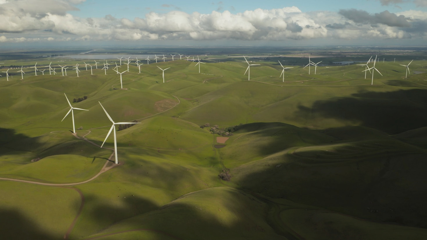 Building Sustainable Impact: A Guide for Executives